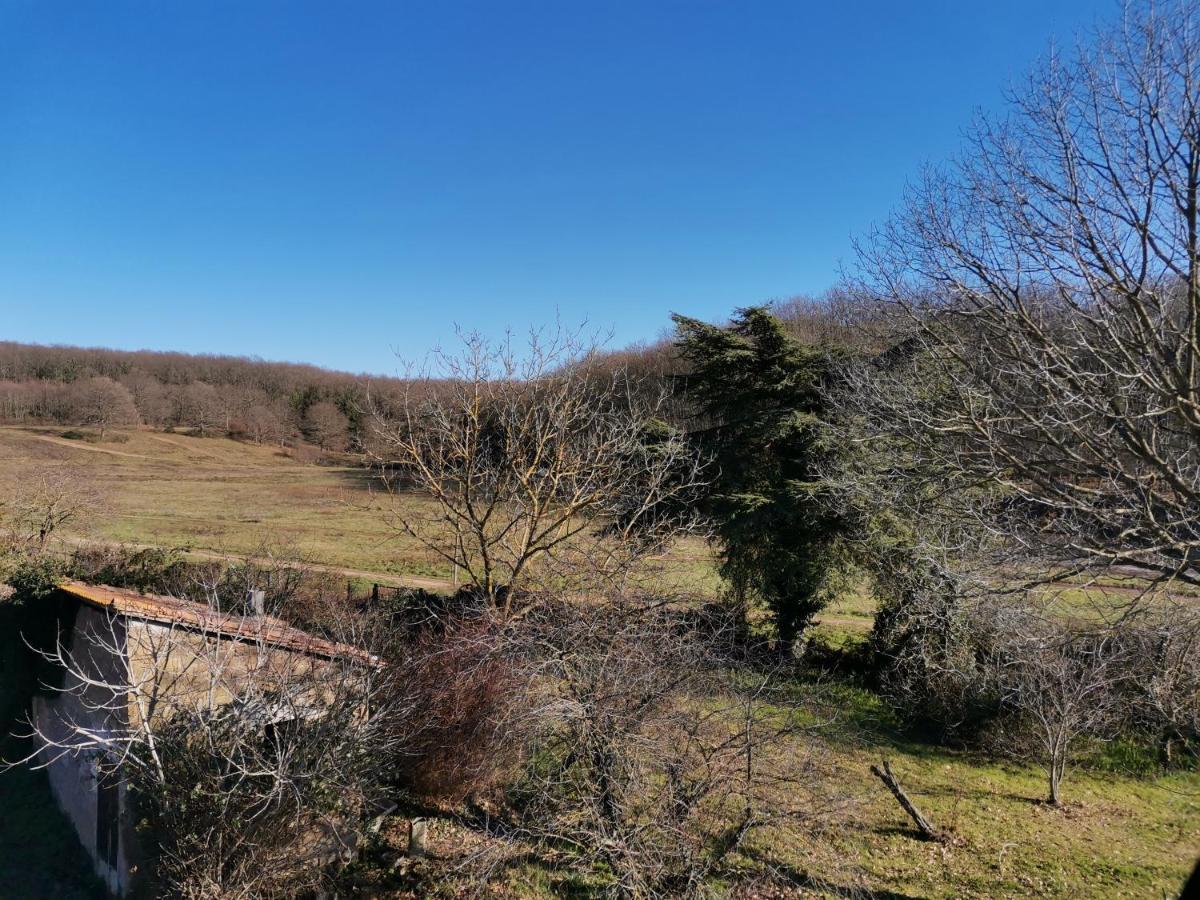 Casa Francigena Bed & Breakfast Vetralla Dış mekan fotoğraf